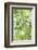 Bamboo I-Karin Connolly-Framed Art Print