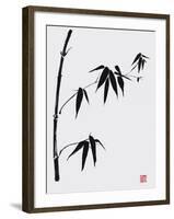 Bamboo I-Jenny Tsang-Framed Giclee Print