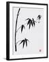 Bamboo I-Jenny Tsang-Framed Giclee Print