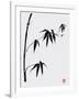 Bamboo I-Jenny Tsang-Framed Giclee Print