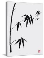 Bamboo I-Jenny Tsang-Stretched Canvas