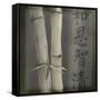 Bamboo I-Kory Fluckiger-Framed Stretched Canvas