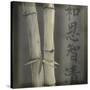 Bamboo I-Kory Fluckiger-Stretched Canvas