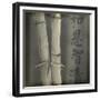 Bamboo I-Kory Fluckiger-Framed Giclee Print