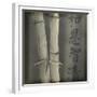 Bamboo I-Kory Fluckiger-Framed Giclee Print