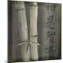 Bamboo I-Kory Fluckiger-Mounted Giclee Print