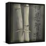 Bamboo I-Kory Fluckiger-Framed Stretched Canvas