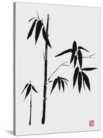 Bamboo II-Jenny Tsang-Stretched Canvas