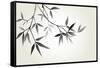 Bamboo Illustration, Japanese Calligraphy-Ataly-Framed Stretched Canvas