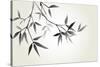 Bamboo Illustration, Japanese Calligraphy-Ataly-Stretched Canvas