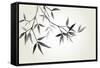 Bamboo Illustration, Japanese Calligraphy-Ataly-Framed Stretched Canvas