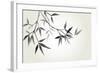 Bamboo Illustration, Japanese Calligraphy-Ataly-Framed Photographic Print