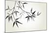 Bamboo Illustration, Japanese Calligraphy-Ataly-Mounted Photographic Print