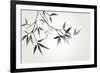 Bamboo Illustration, Japanese Calligraphy-Ataly-Framed Photographic Print