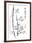 Bamboo Ink Painting And Calligraphy-yienkeat-Framed Art Print