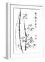 Bamboo Ink Painting And Calligraphy-yienkeat-Framed Art Print