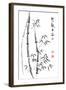 Bamboo Ink Painting And Calligraphy-yienkeat-Framed Art Print