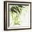 Bamboo IV Green-Chris Paschke-Framed Art Print