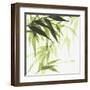 Bamboo IV Green-Chris Paschke-Framed Art Print