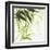 Bamboo IV Green-Chris Paschke-Framed Art Print