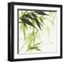 Bamboo IV Green-Chris Paschke-Framed Art Print