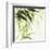 Bamboo IV Green-Chris Paschke-Framed Art Print