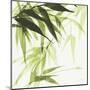 Bamboo IV Green-Chris Paschke-Mounted Art Print