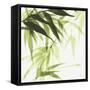 Bamboo IV Green-Chris Paschke-Framed Stretched Canvas