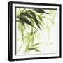 Bamboo IV Green-Chris Paschke-Framed Art Print