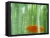 Bamboo Kyoto Japan-null-Framed Stretched Canvas