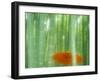 Bamboo Kyoto Japan-null-Framed Photographic Print