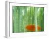 Bamboo Kyoto Japan-null-Framed Photographic Print