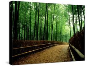 Bamboo Lane, Nishiyama, Kyoto, Japan-null-Stretched Canvas