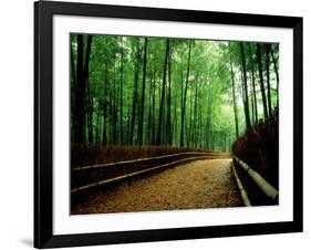 Bamboo Lane, Nishiyama, Kyoto, Japan-null-Framed Photographic Print