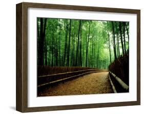 Bamboo Lane, Nishiyama, Kyoto, Japan-null-Framed Photographic Print