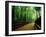 Bamboo Lane, Nishiyama, Kyoto, Japan-null-Framed Photographic Print