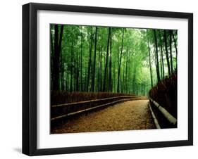 Bamboo Lane, Nishiyama, Kyoto, Japan-null-Framed Photographic Print