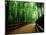 Bamboo Lane, Nishiyama, Kyoto, Japan-null-Mounted Photographic Print