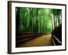 Bamboo Lane, Nishiyama, Kyoto, Japan-null-Framed Photographic Print