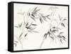 Bamboo Leaves I-Danhui Nai-Framed Stretched Canvas