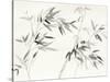 Bamboo Leaves I-Danhui Nai-Stretched Canvas