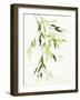 Bamboo Leaves IV Green-Danhui Nai-Framed Art Print