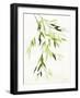 Bamboo Leaves IV Green-Danhui Nai-Framed Art Print