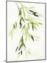 Bamboo Leaves IV Green-Danhui Nai-Mounted Art Print