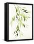 Bamboo Leaves IV Green-Danhui Nai-Framed Stretched Canvas