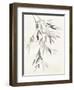 Bamboo Leaves IV-Danhui Nai-Framed Art Print