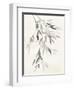 Bamboo Leaves IV-Danhui Nai-Framed Art Print