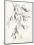 Bamboo Leaves IV-Danhui Nai-Mounted Art Print