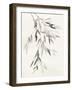 Bamboo Leaves IV-Danhui Nai-Framed Art Print