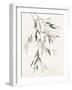 Bamboo Leaves IV-Danhui Nai-Framed Art Print